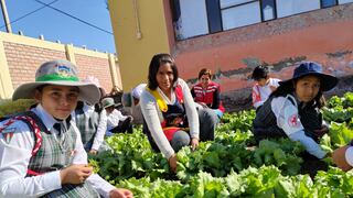 Arequipa: Colegio en el distrito La Joya implementa “Qali huerto escolar” para complementar desayuno