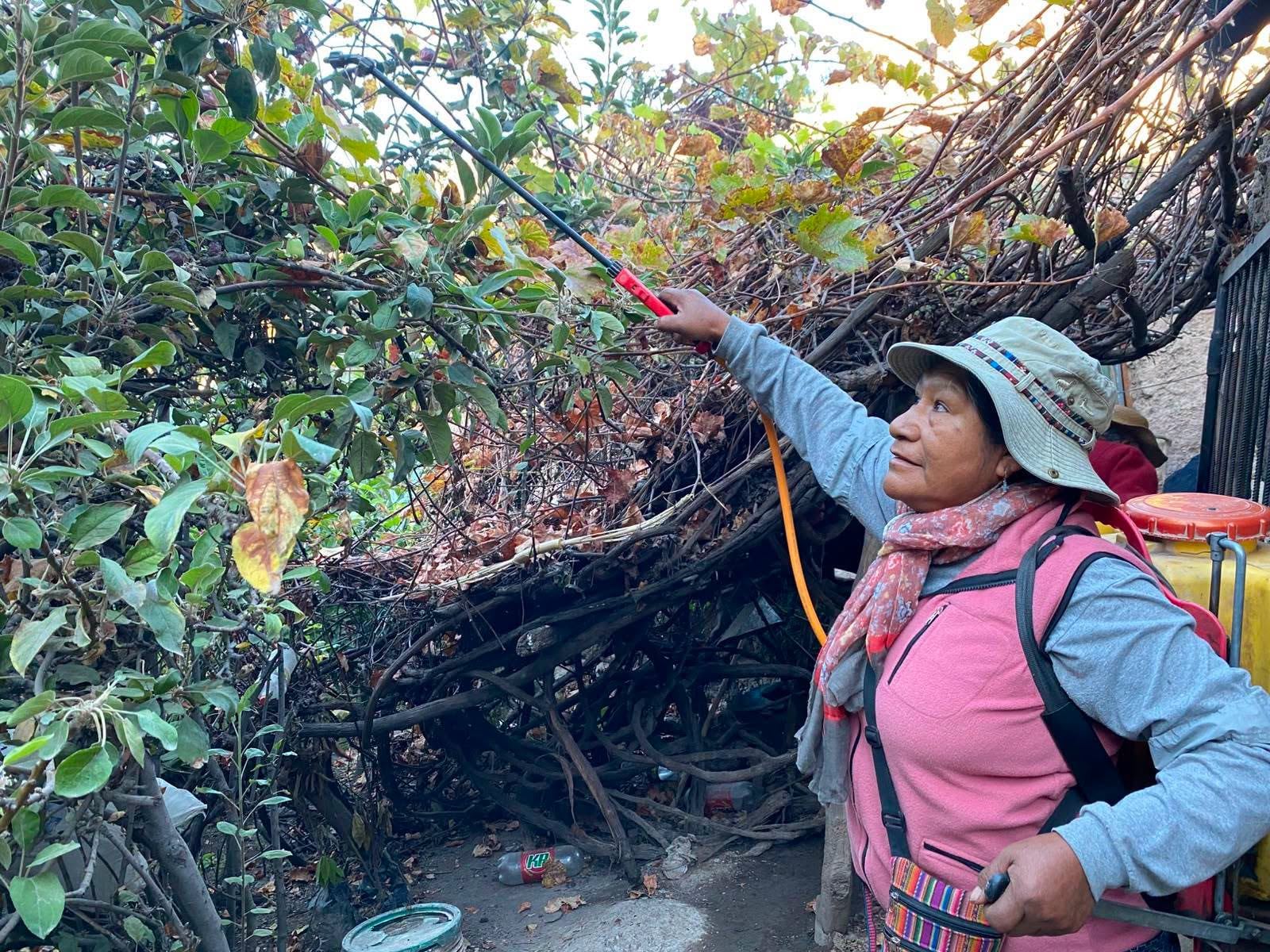 Entregan 30 litros de insecticida para combatir la mosca de la fruta en Ayo, en Castilla, Arequipa. Foto: Consejo Regional de Arequipa