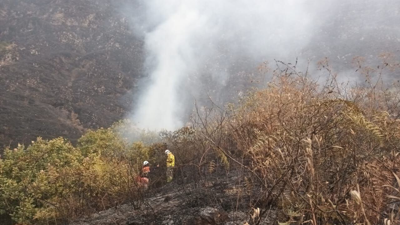 El alcalde distrital Jeiner Julca denunció que brigadistas llegaron a la zona y luego de tomarse fotos se retiraron. Se han perdido más de 40 ha de bosques y pastizales.