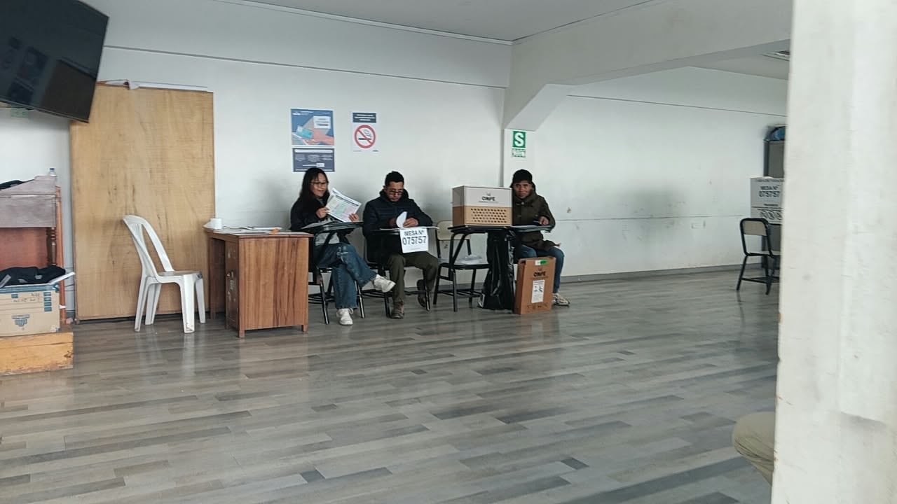 Puno: Más de 900 mil electores hoy eligen a sus autoridades regionales y municipales .