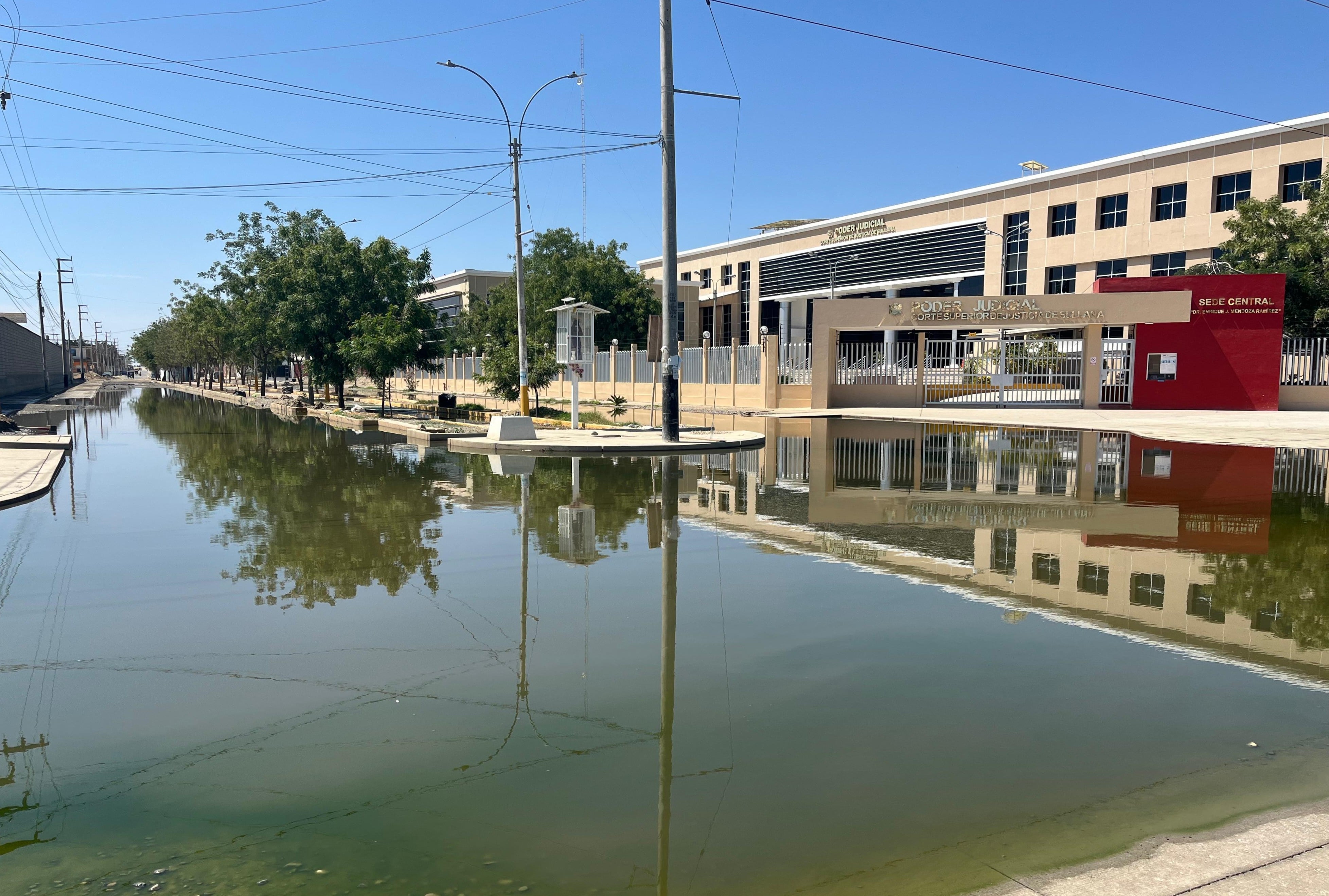 Moradores piden erradicarlas debido a que llevan varios días en dicha zona en Sullana