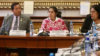 Comisión de Energía y Minas declara inviable pedido de facultades legislativas del Ejecutivo