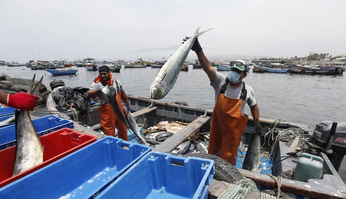 LIMA PERU 24 DE ENERO DEL 2022
RECORRIDO POR LAS PLAYAS DEL NORTE CHICO ANTE EL AVANCE DEL DERRAME DE PETROLEO POR PARTE DE REFINERIA LA PAMPILLA REPSOL
PESCADORES ARTESANALES DE ANCON PARAN SUS LABORES DE PESCA DEBIDO AL DERRAME DE PETROLEO