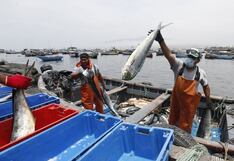 Más pesca, más agro, más empleo: economía de Ica crece más que el promedio nacional