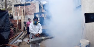 El alcalde de Trujillo, Mario Reyna, indicó que en distritos como Florencia, El Porvenir y Alto Trujillo, donde se almacena agua para consumo humano o no hay redes de desagüe y se tiene pozos sépticos, el riesgo del incremento de casos es mayor.