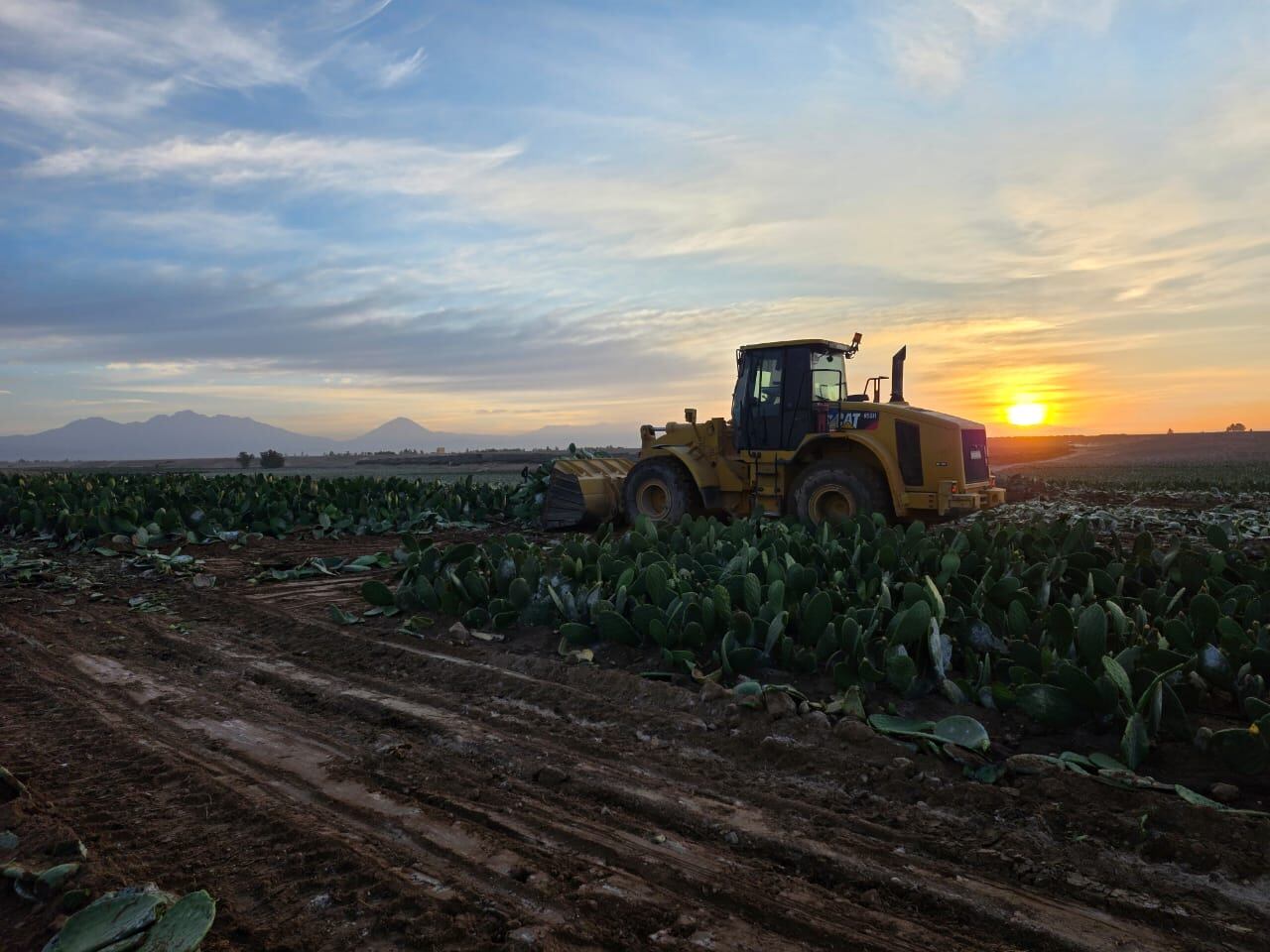 Recuperan terrenos de Autodema. Foto: Procuraduría.