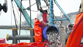 Empresas pesqueras perdieron casi $400 millones en primer semestre