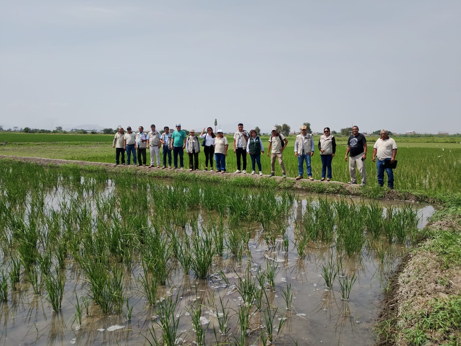 Cerca de 11 mil productores afrontan pérdidas. Están a la espera de una directiva del gobierno de Balcázar