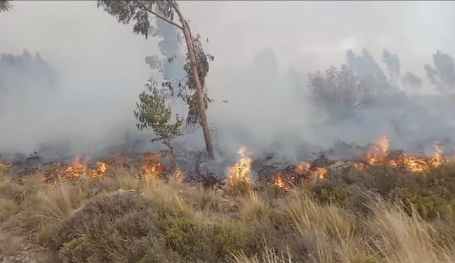 Incendios forestales destruyeron 3 mil hectáreas en la región Arequipa. Foto: Archivo.