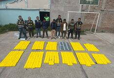 Arequipa: Decomisan 348 kilos de droga en ruta minera de la provincia de Caylloma (VIDEO Y FOTOS)