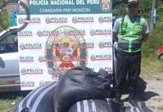 Huánuco: adolescente detenido por robo de café tenía dos motos hurtadas