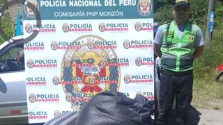 Huánuco: adolescente detenido por robo de café tenía dos motos hurtadas