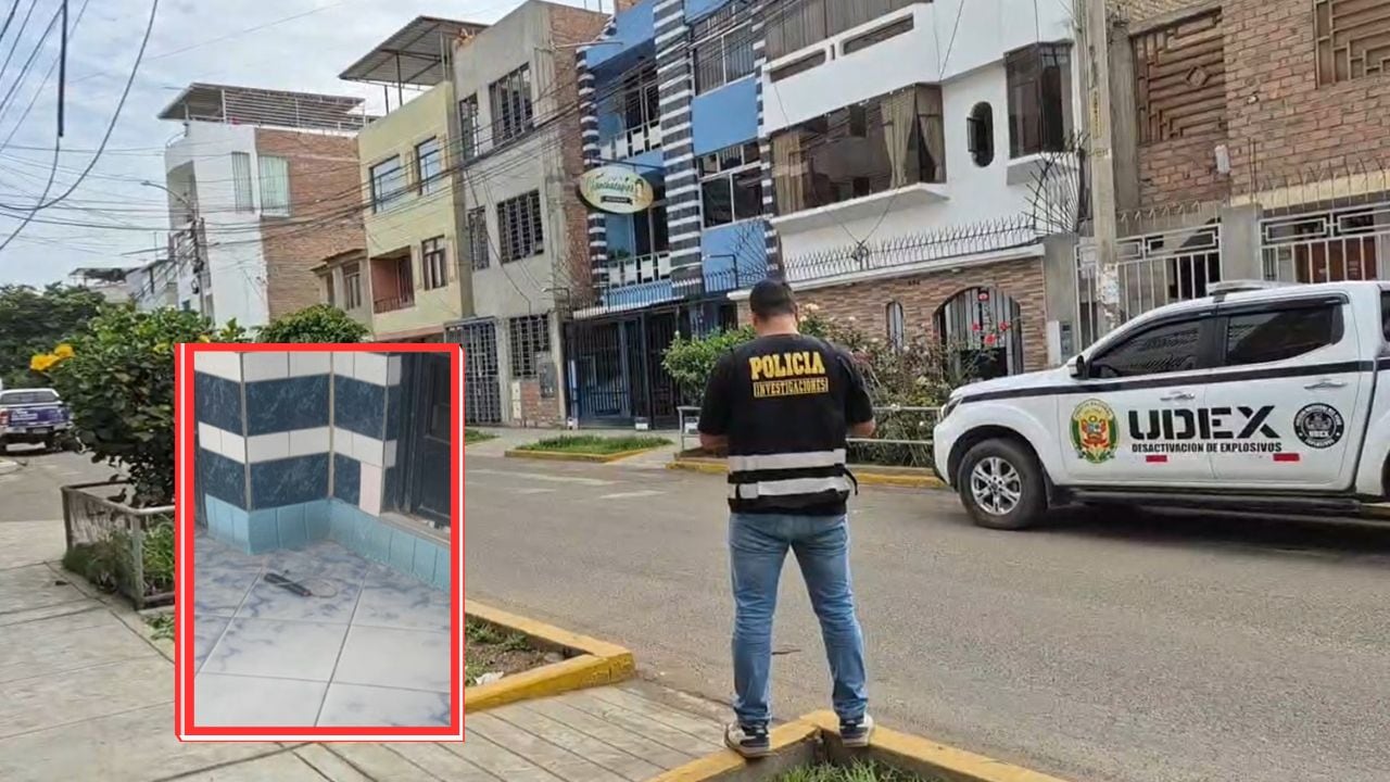 Agentes de la Udex se encargaron de neutralizar y retirar los explosivos.