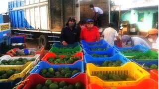 Ayacucho: Distrito de Pauza exporta 16 toneladas de palta Hass al mercado europeo