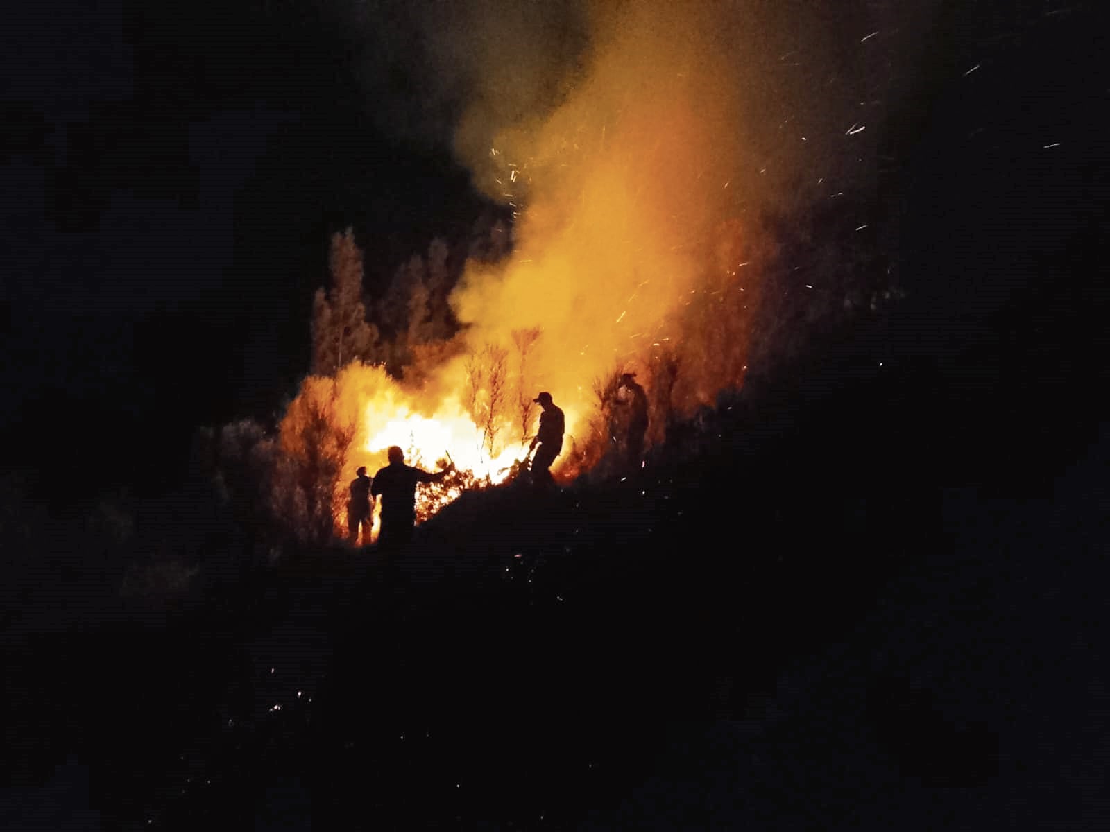 Huancayo: Apagan tres incendios forestales y otro en una casa en un solo día