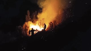 Huancayo: Apagan tres incendios forestales y otro en una casa en un solo día