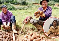 Centro Internacional de la Papa y Asociación Pataz fortalecen el agro en el ande de La Libertad