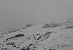 La Oroya: Alcalde de Suitucancha pide declaratoria de emergencia por muerte de ganado