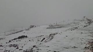 La Oroya: Alcalde de Suitucancha pide declaratoria de emergencia por muerte de ganado