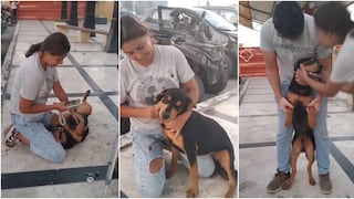 Marcona: familia se reencuentra con su perro Zeus tras dos meses de intensa búsqueda