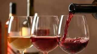 II Encuentro Empresarial de Vinos reúne a productores y distribuidores en apoyo al crecimiento de la industria