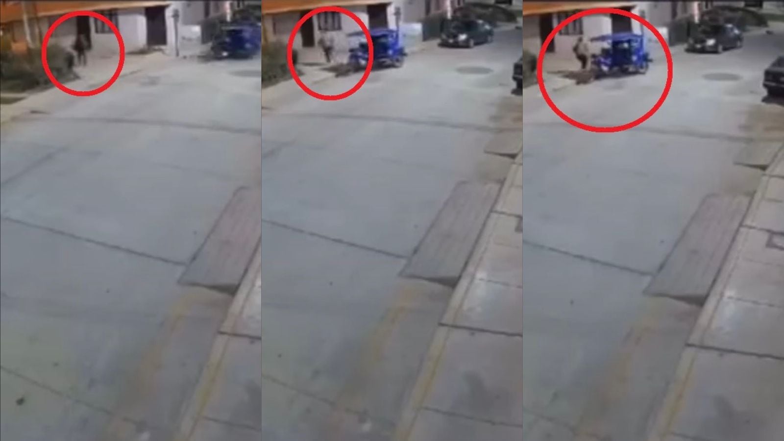 Cámaras captaron instantes del asalto a profesora.