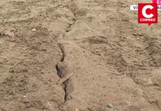 Villa El Salvador: Sismo dejó grietas en única vía de acceso a asentamiento humano