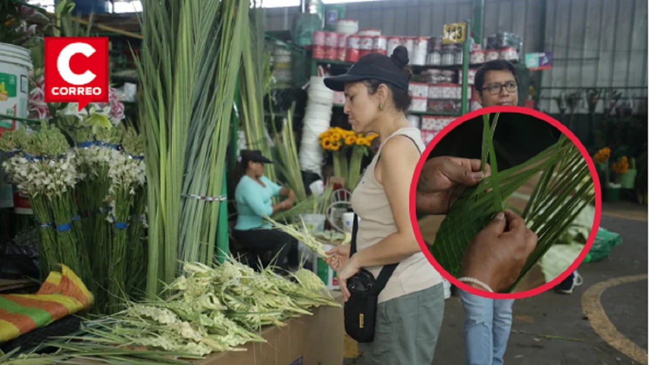 Comerciantes venden palmas en Domingo de Ramos. (Fotos: Britanie Arroyo / @photo.gec)