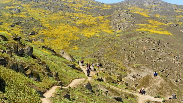 Lomas de Mangomarca: Destino ecoturístico que debes conocer y cuidar