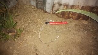 La Libertad: Delincuentes dejan una dinamita en jardín de una vivienda de La Esperanza