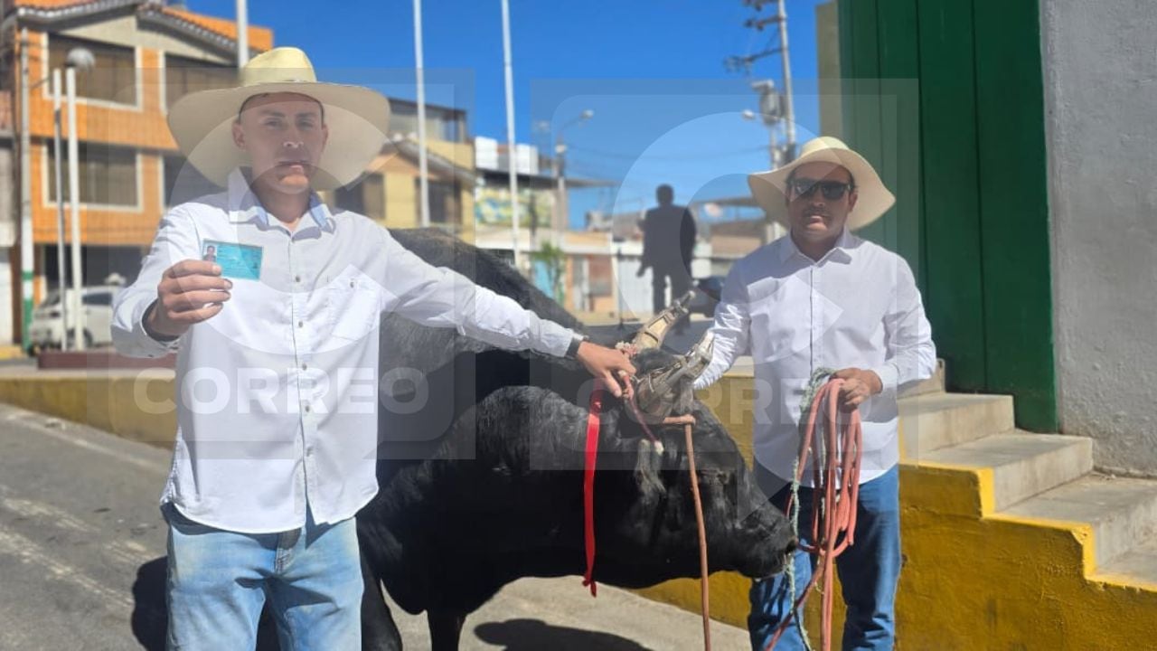 Elecciones presidenciales: agricultor llega a votar acompañado de un toro de pelea en Arequipa (Foto: Omar Cruz/@photo.gec)