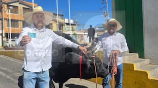 Elecciones presidenciales: agricultor llega a votar acompañado de un toro de pelea en Arequipa (VIDEO)