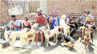 Extranjeros son voluntarios en albergue de perritos rescatados de las calles (VIDEO) 