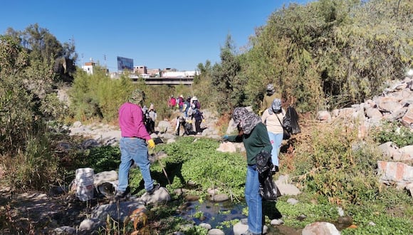 Estudiantes y trabajadores de la Municipalidad de Sachaca se unen para limpiar ribera del río Chili