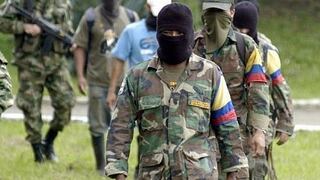 ​ONU dará "atención especial" a la protección de los miembros de las FARC