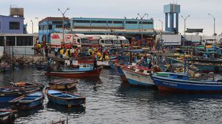 ILO: Por extraer 89 kilos de erizo condenaron a dos pescadores