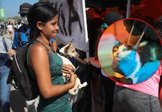 Los refugios de animales, desbordados tras el doble terremoto en Venezuela
