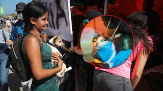 Los refugios de animales, desbordados tras el doble terremoto en Venezuela