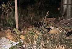 Hallan cadáver atado de manos y pies dentro de una precaria vivienda en Amarilis