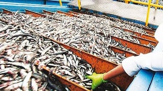 Exportaciones pesqueras no tradicionales crecieron 13% anual desde el 2007 