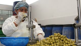 Crisis económica internacional origina fuerte caída de agroexportaciones en Tacna