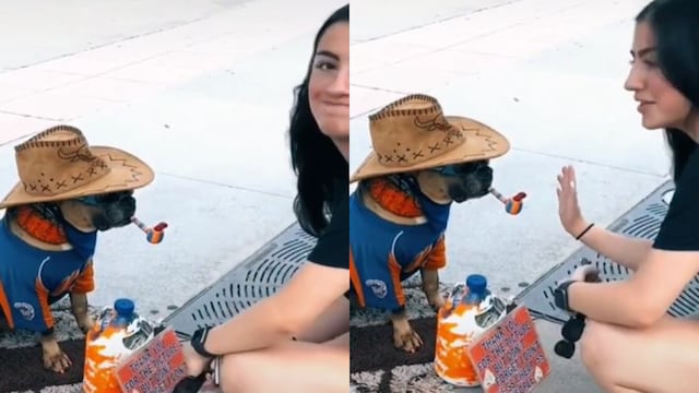 Turistas dejan dinero a perrito y les da la mano como agradecimiento