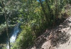 Derrumbes y caída de árboles en el Camino Inca a Machu Picchu (VIDEO)
