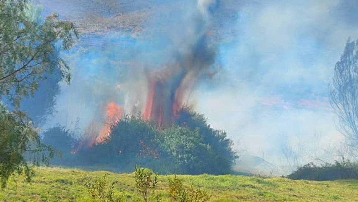 Incendio forestal en Sogay, Yarabamba