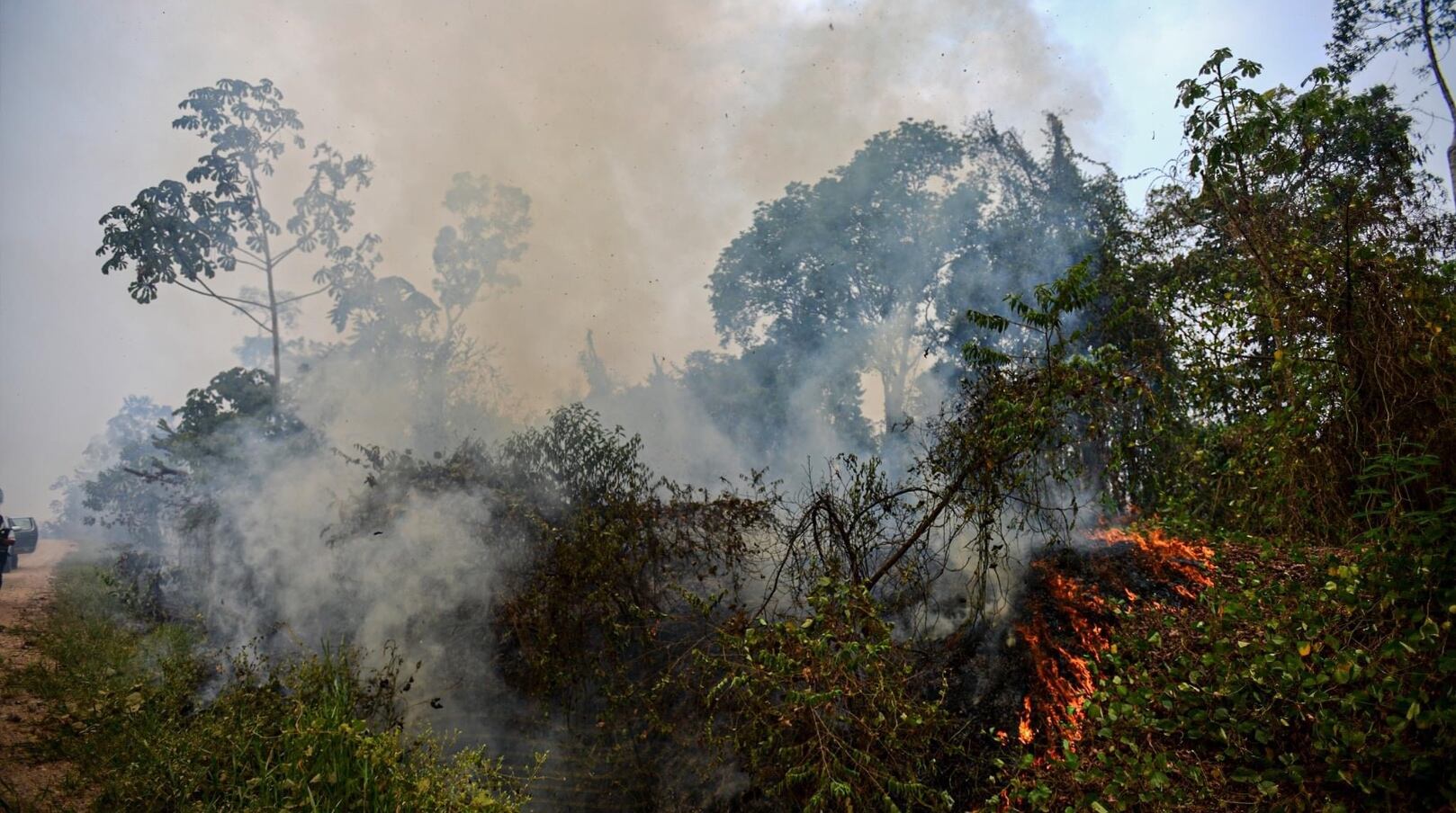 (Foto: GORE Ucayali).