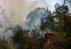 Poder Ejecutivo envió al Congreso proyecto de ley para prevención y lucha contra incendios forestales