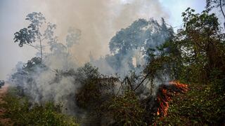 Poder Ejecutivo envió al Congreso proyecto de ley para prevención y lucha contra incendios forestales