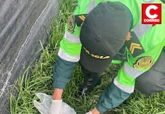 Huancayo: Hallan feto abandonado entre pastizales en Ocopilla