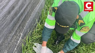 Huancayo: Hallan feto abandonado entre pastizales en Ocopilla