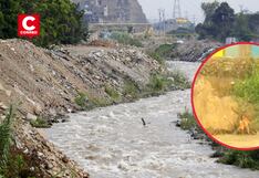 Comas: Perrito casi cae a las aguas del río Chillón durante transmisión en vivo (VIDEO)